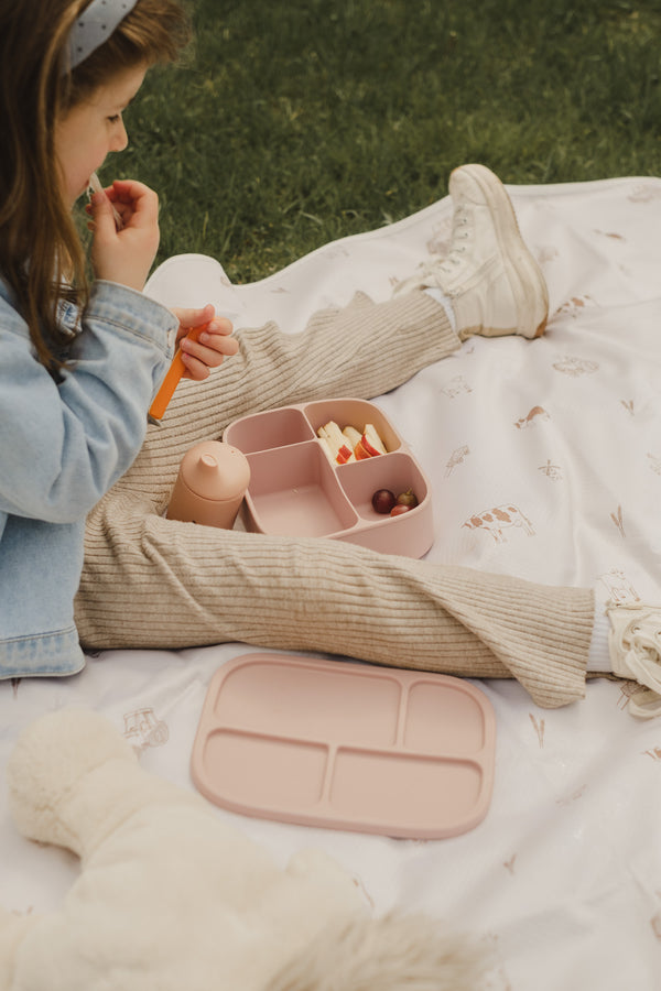 Boîte à lunch bento en silicone