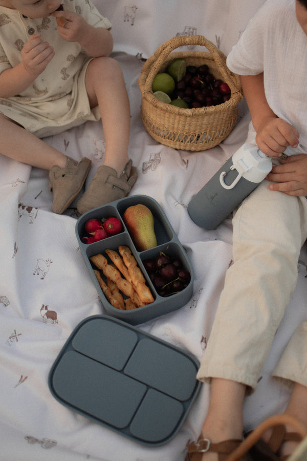 Boîte à lunch bento en silicone